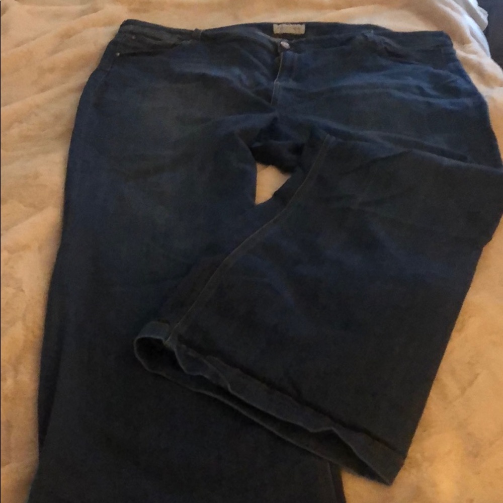 Size 28 Molly and Isadora Jeans